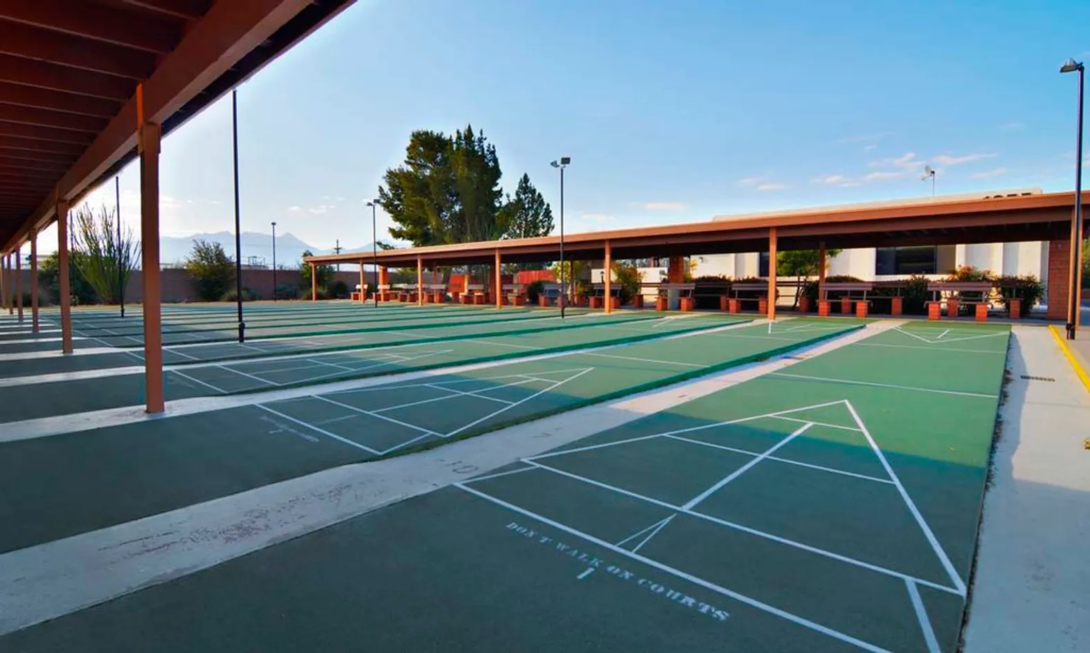 12 Shuffleboard Courts