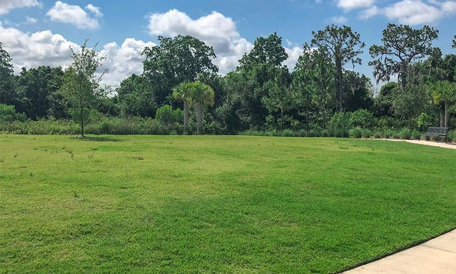 Walking & Biking Trails