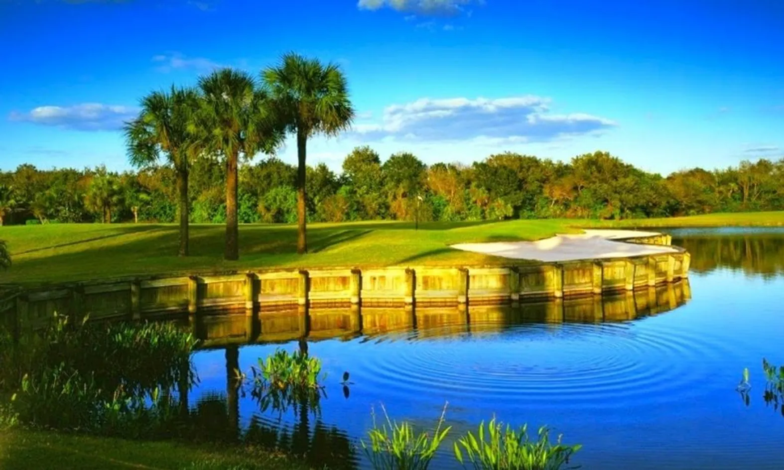 Scenic Lake Views