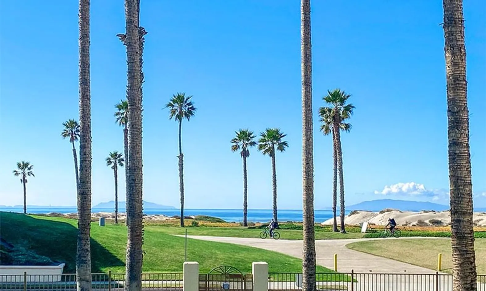 Beachfront Views