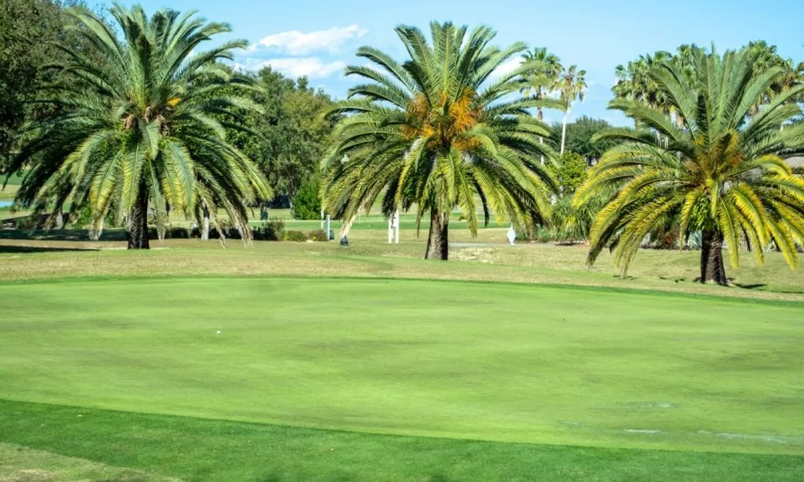 Golf Course
