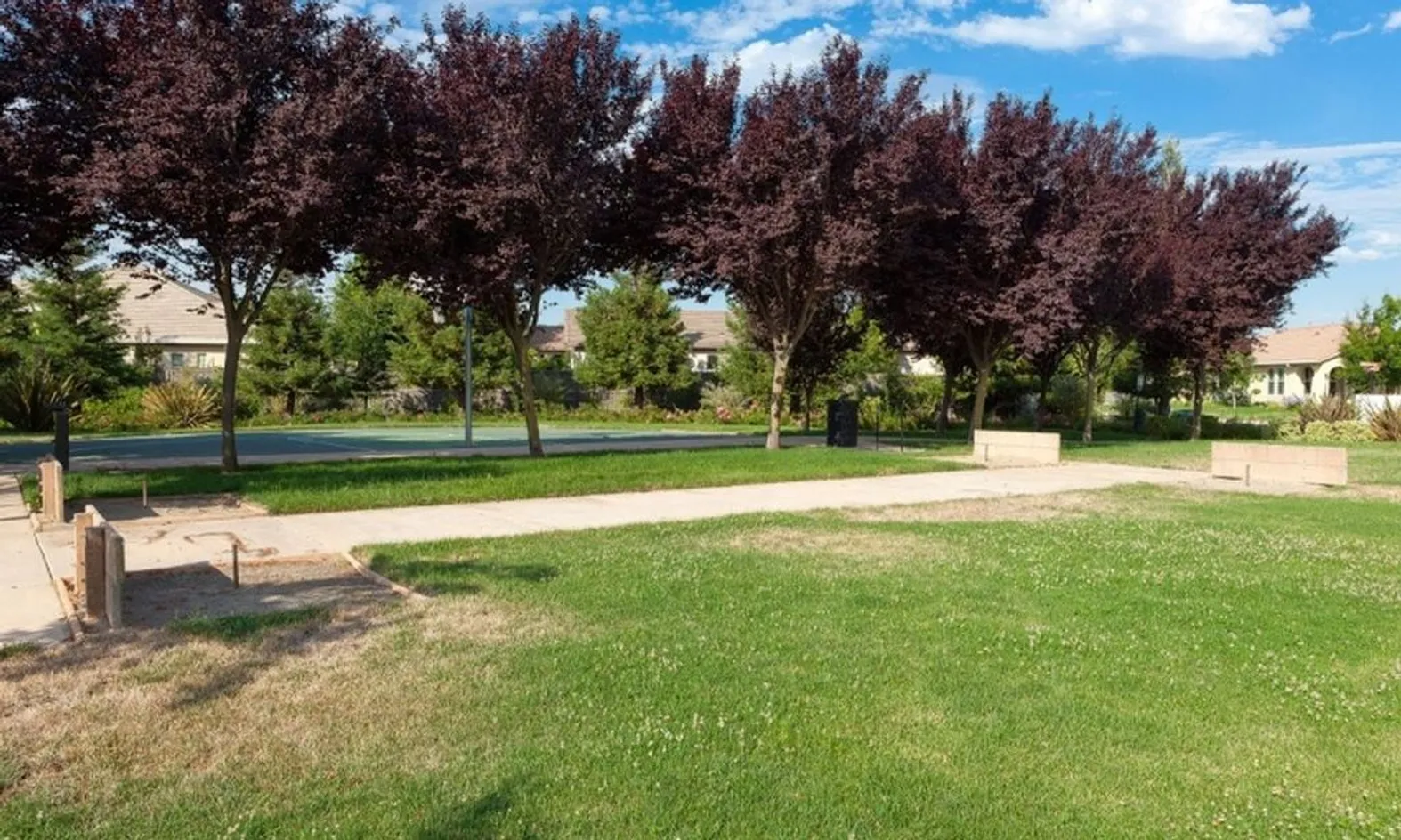 Horseshoe Pits