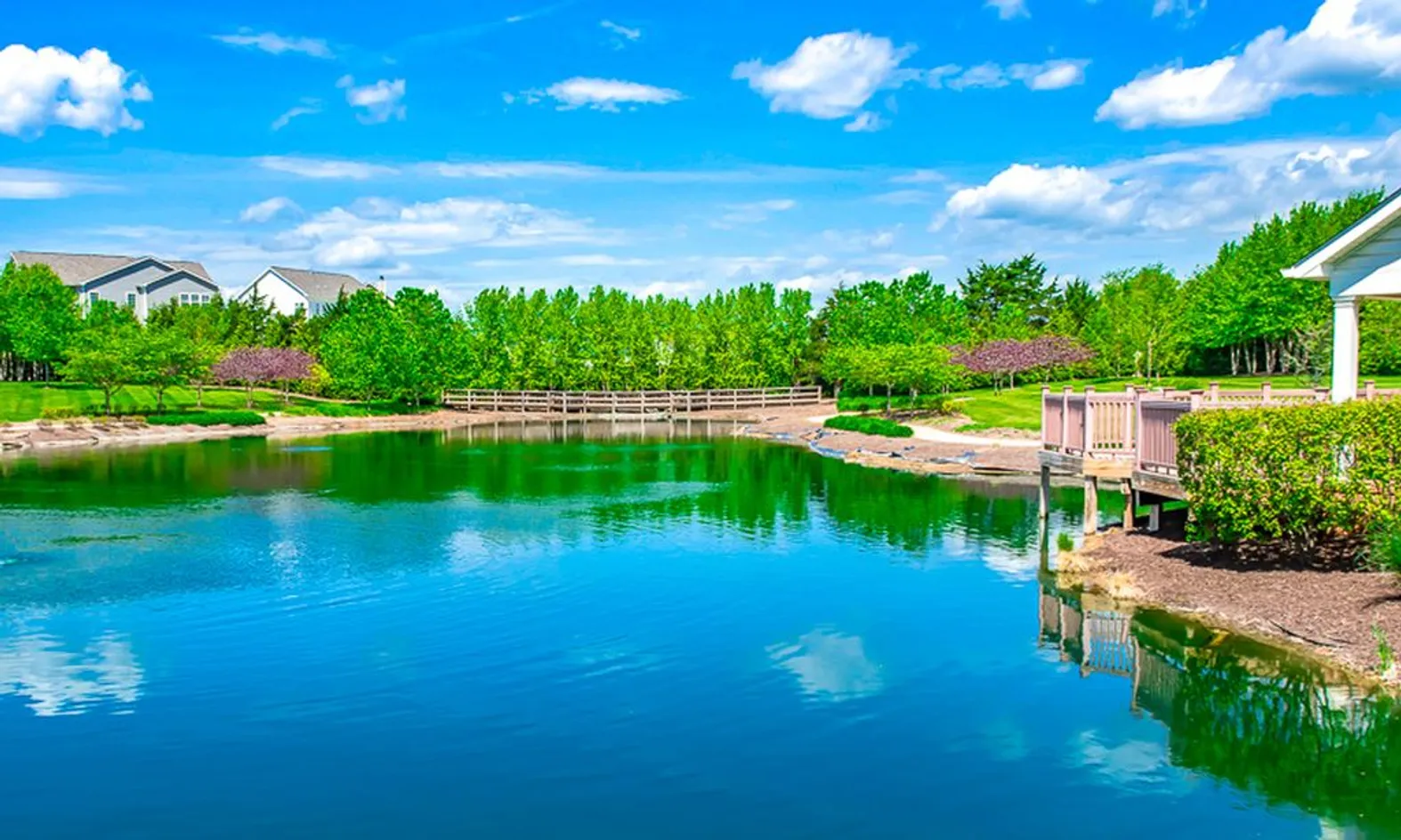 Scenic Pond