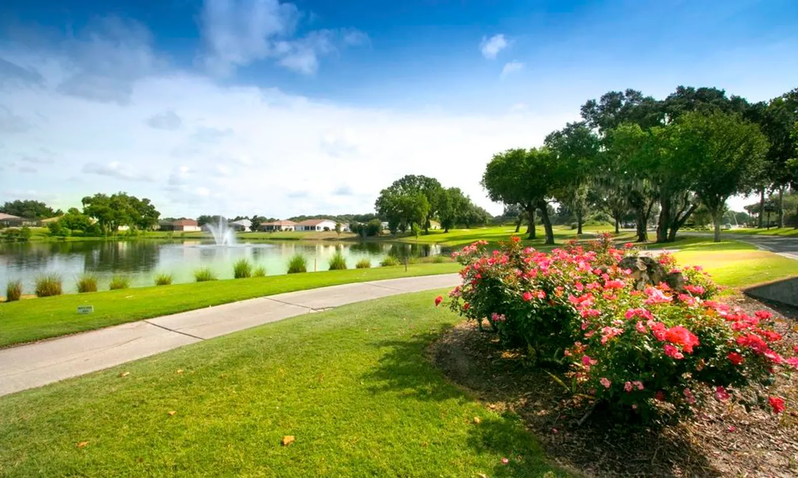 Scenic Ponds