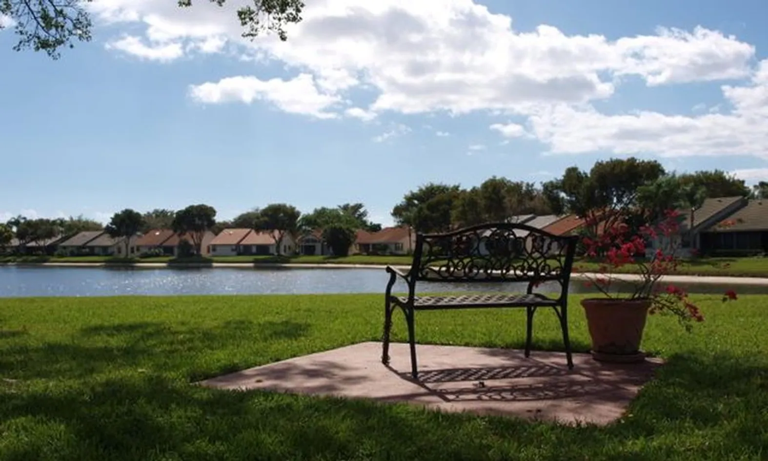 Scenic Ponds