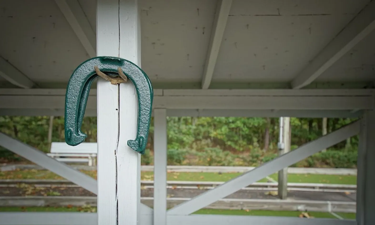 Horseshoes