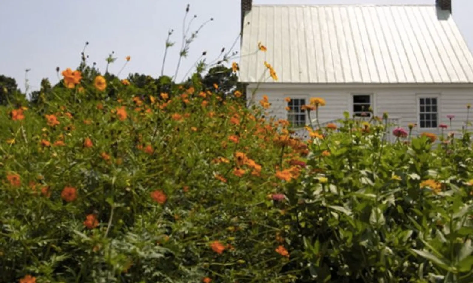 Community Gardens