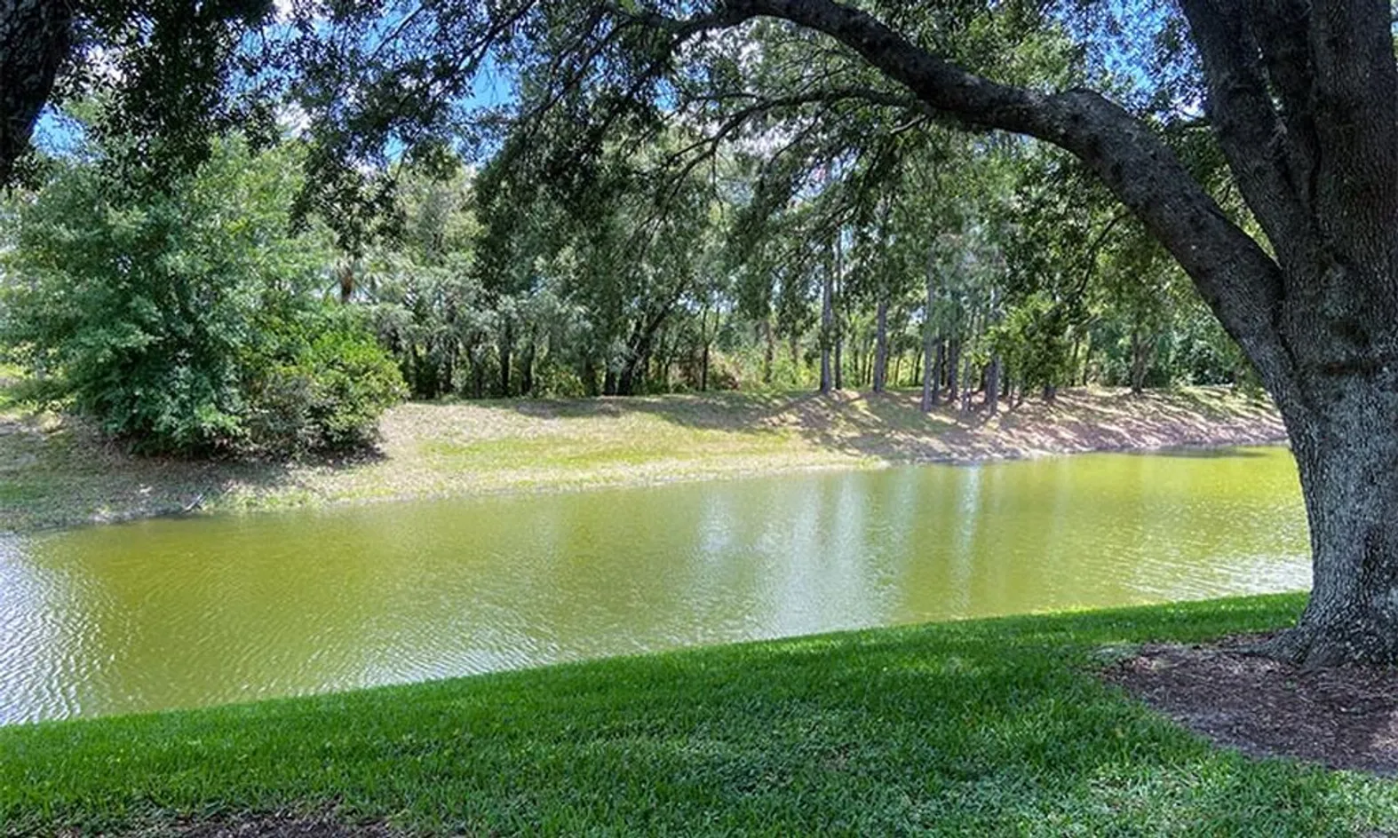 Scenic Ponds