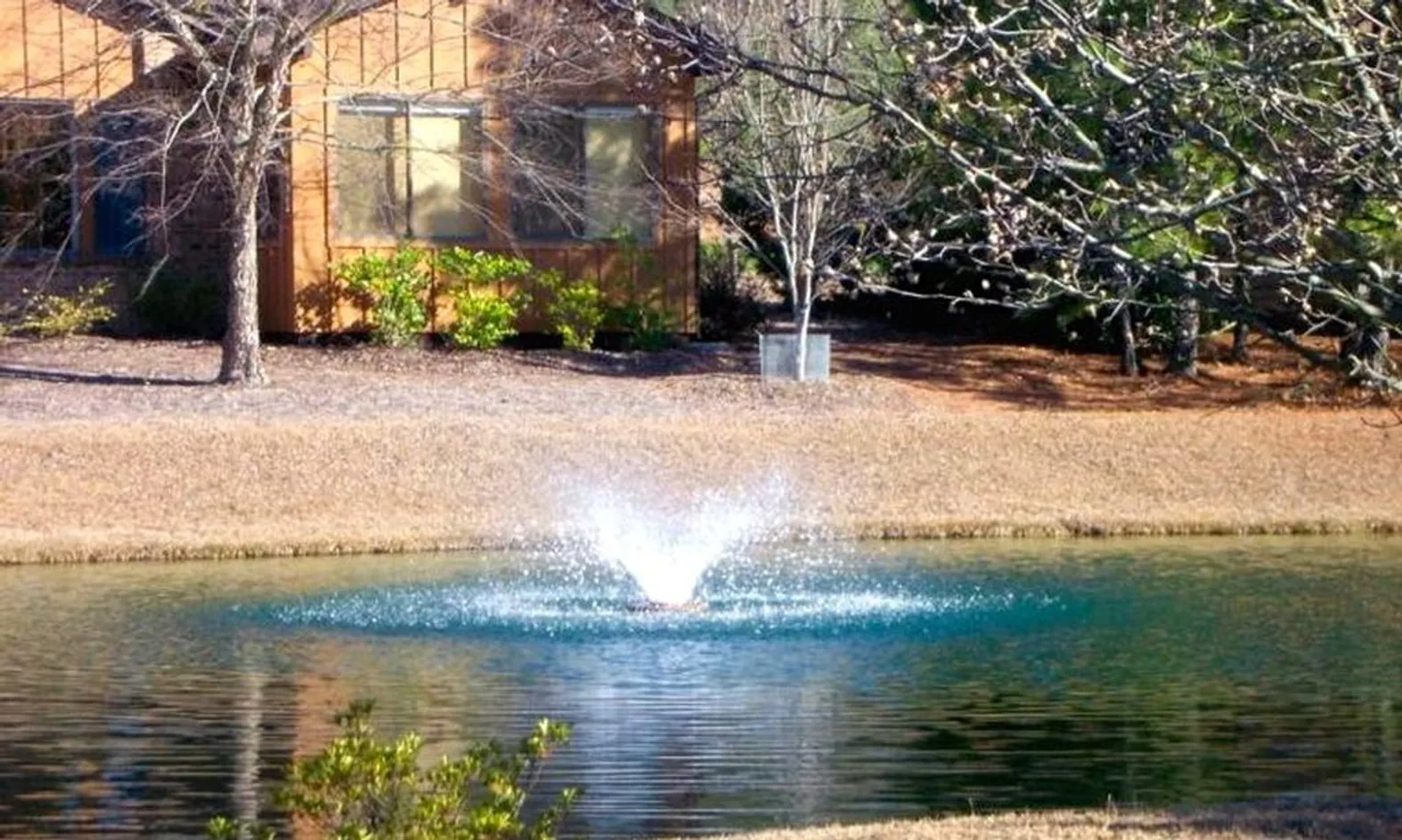 Scenic Ponds