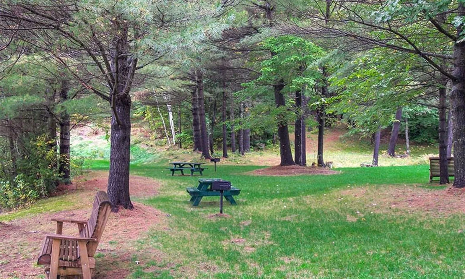 Picnic Tables