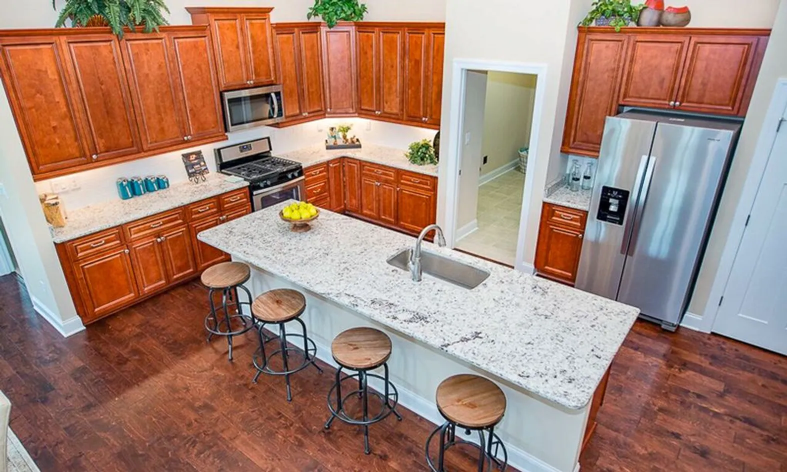 Elegant Kitchens