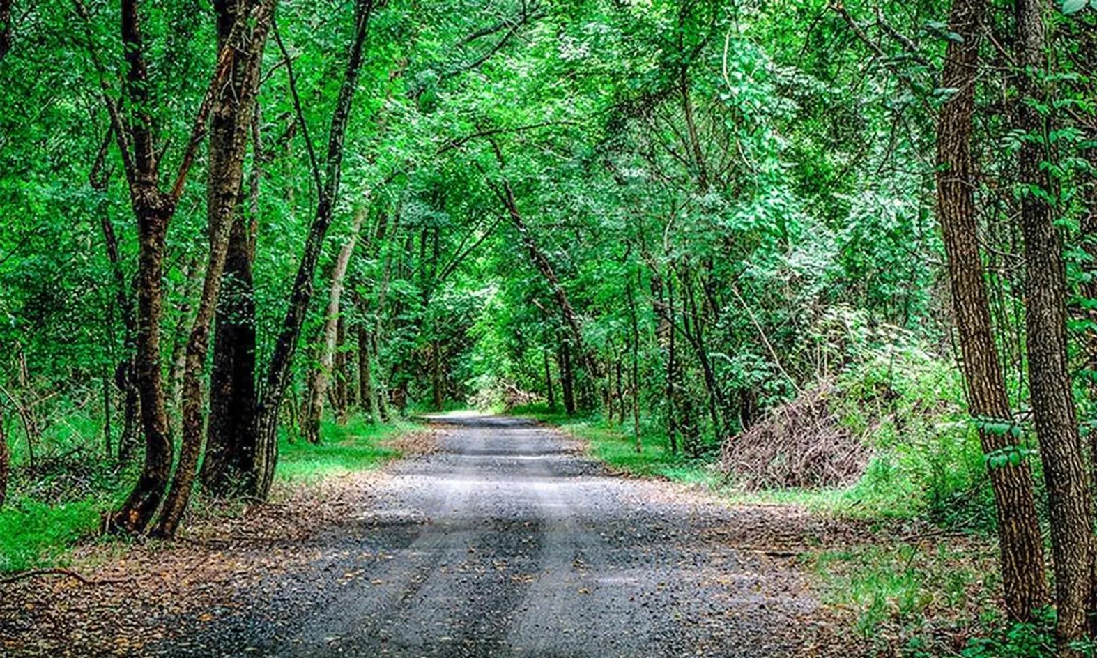 Walking & Biking Trails