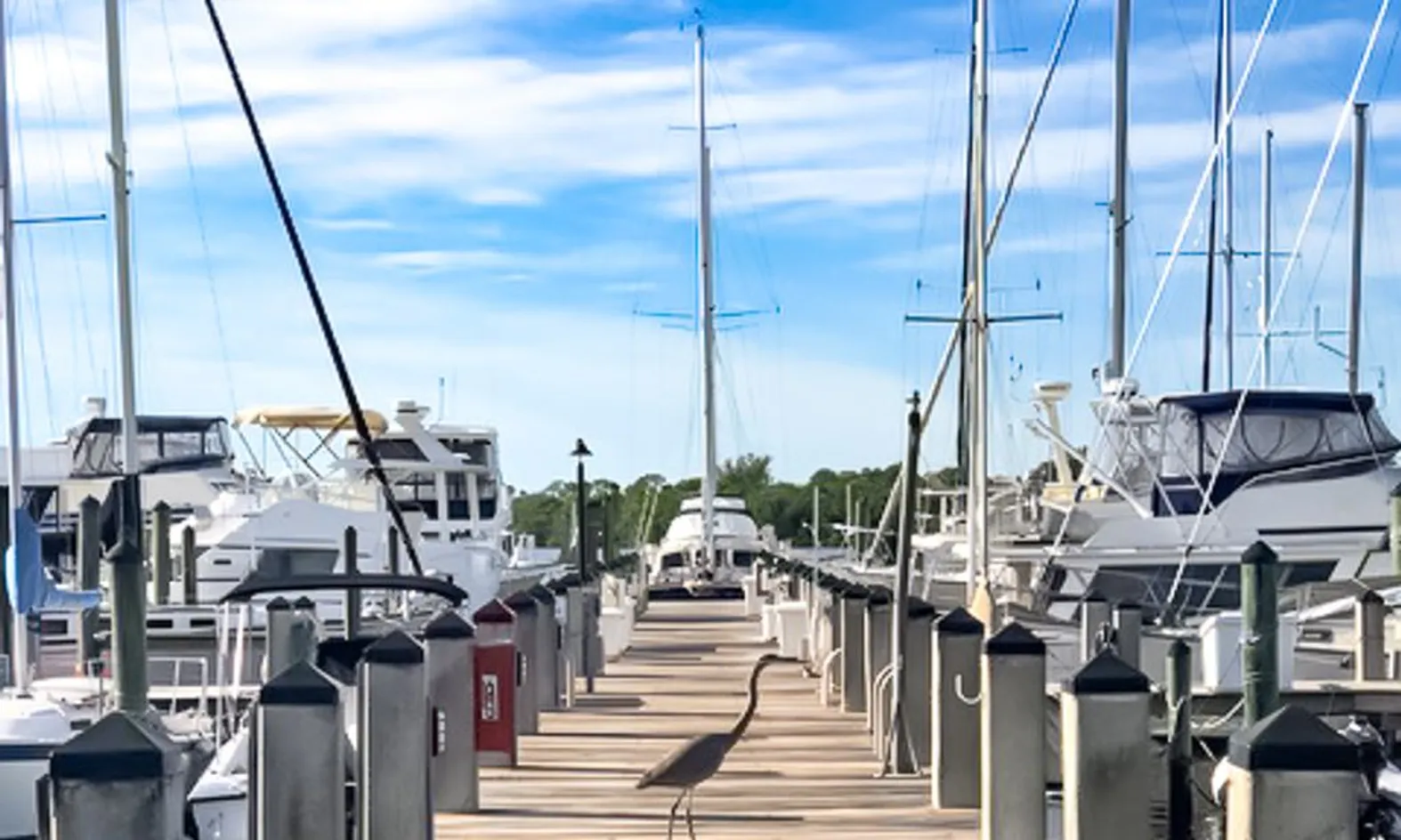 Yacht Club