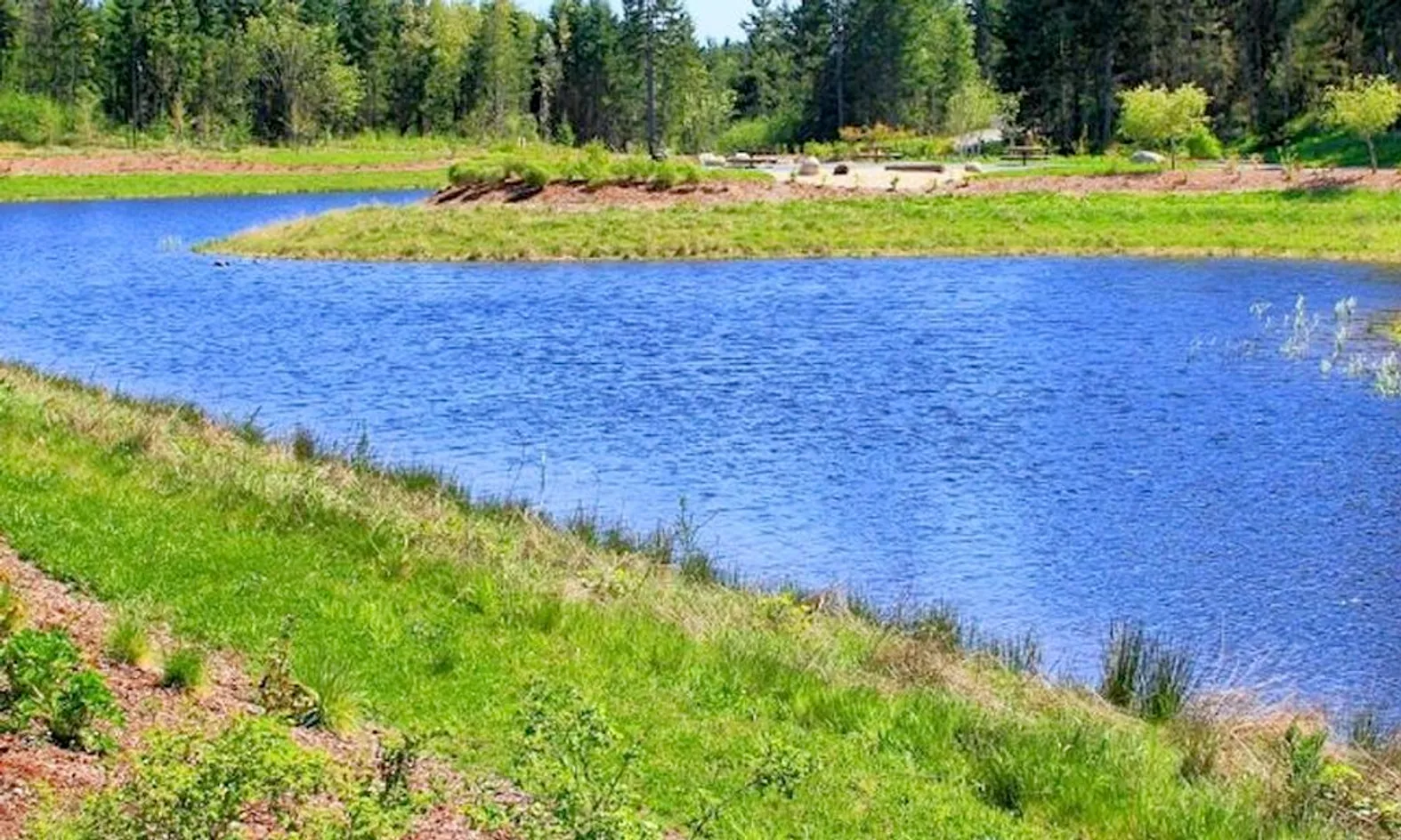 Scenic Ponds