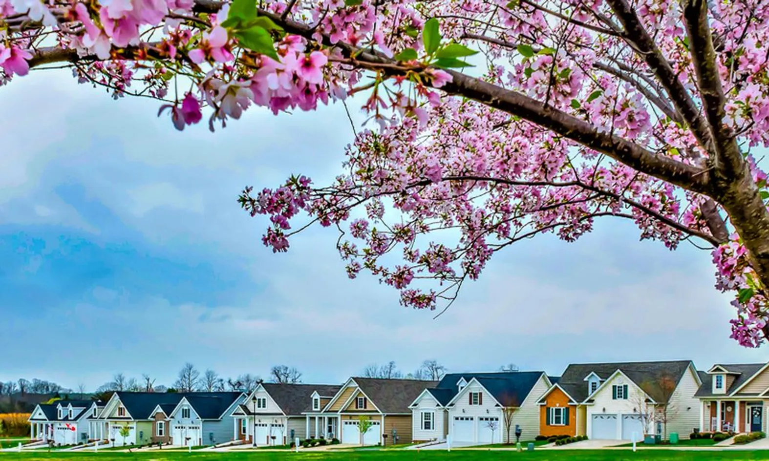 Single-Family Homes