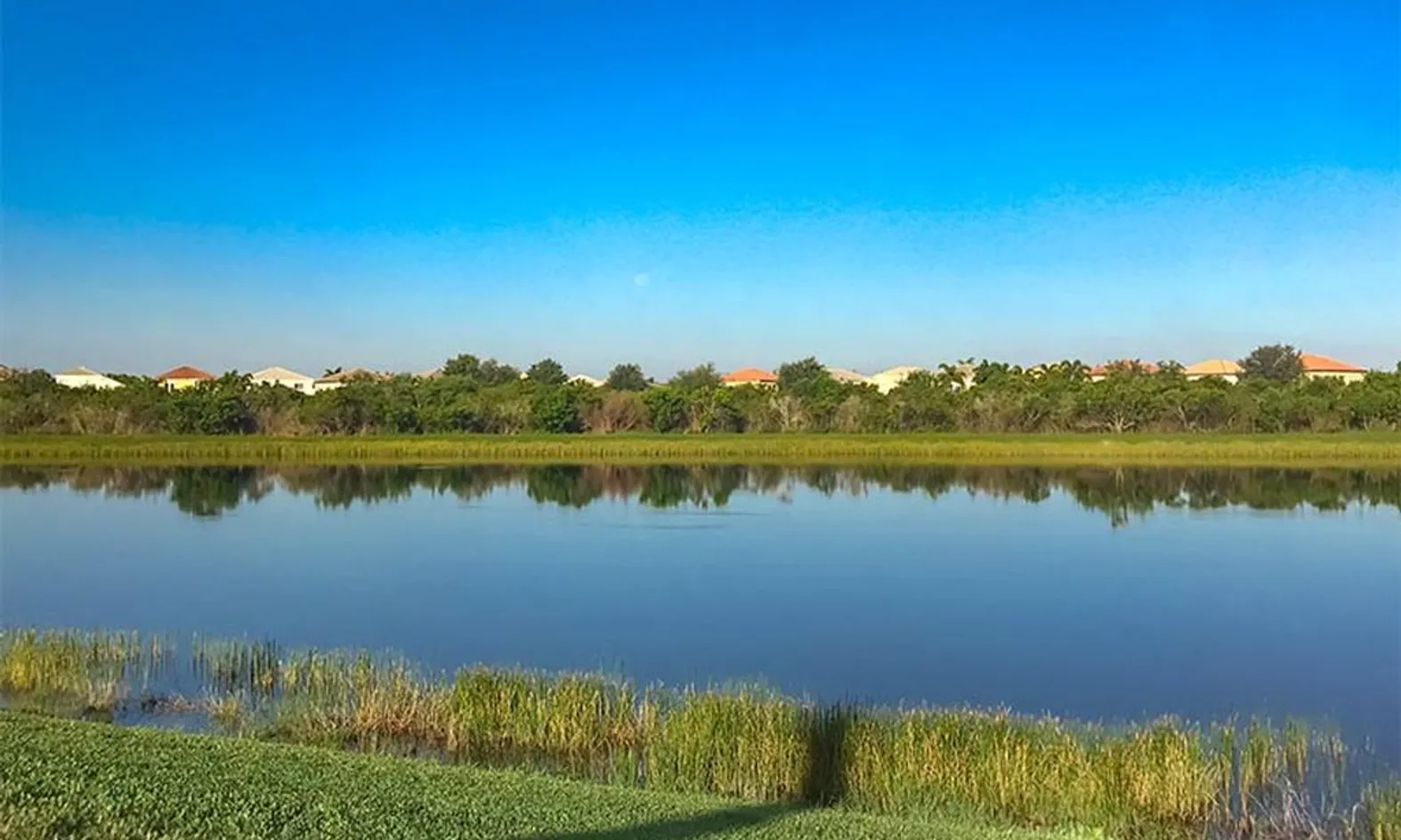 Scenic Ponds