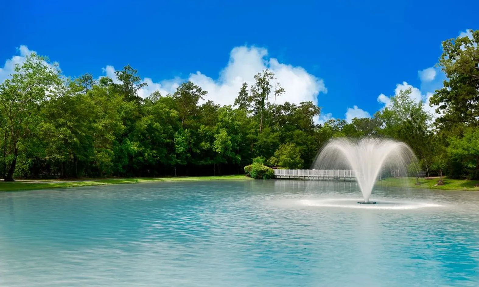 Scenic Pond