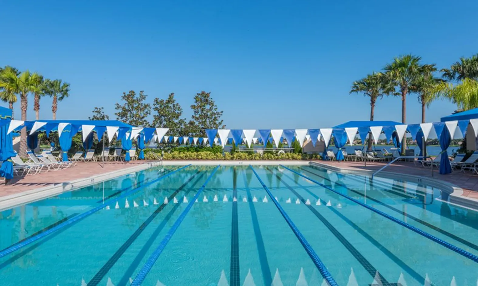 Lap Pool