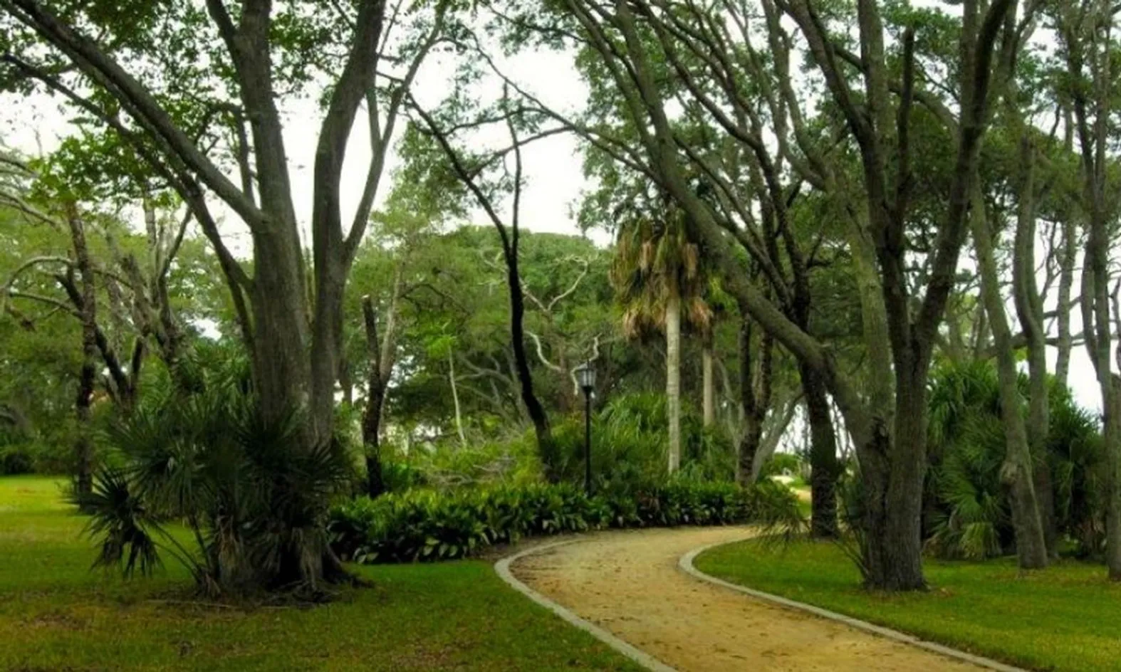 Scenic Walking Trails
