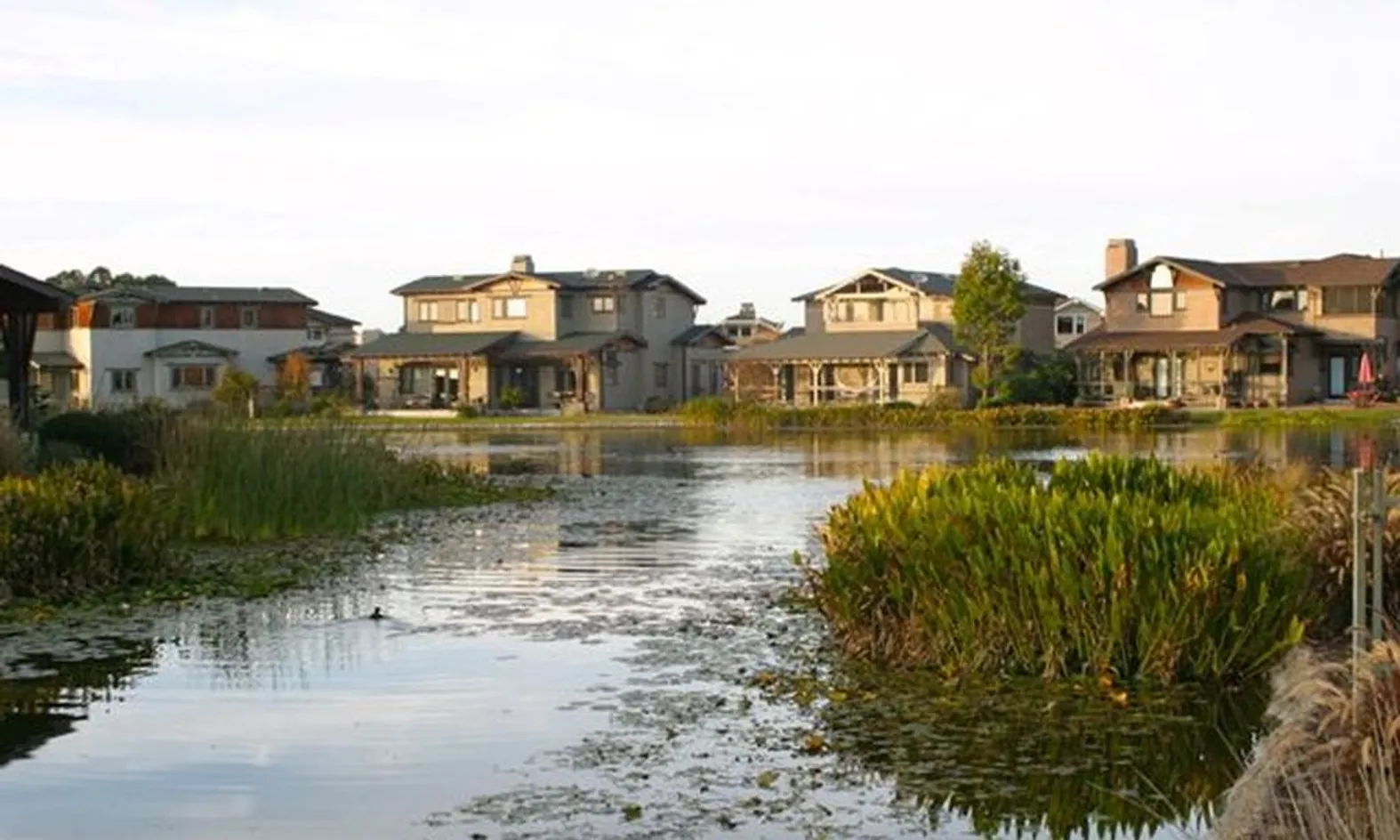 Scenic Water Features