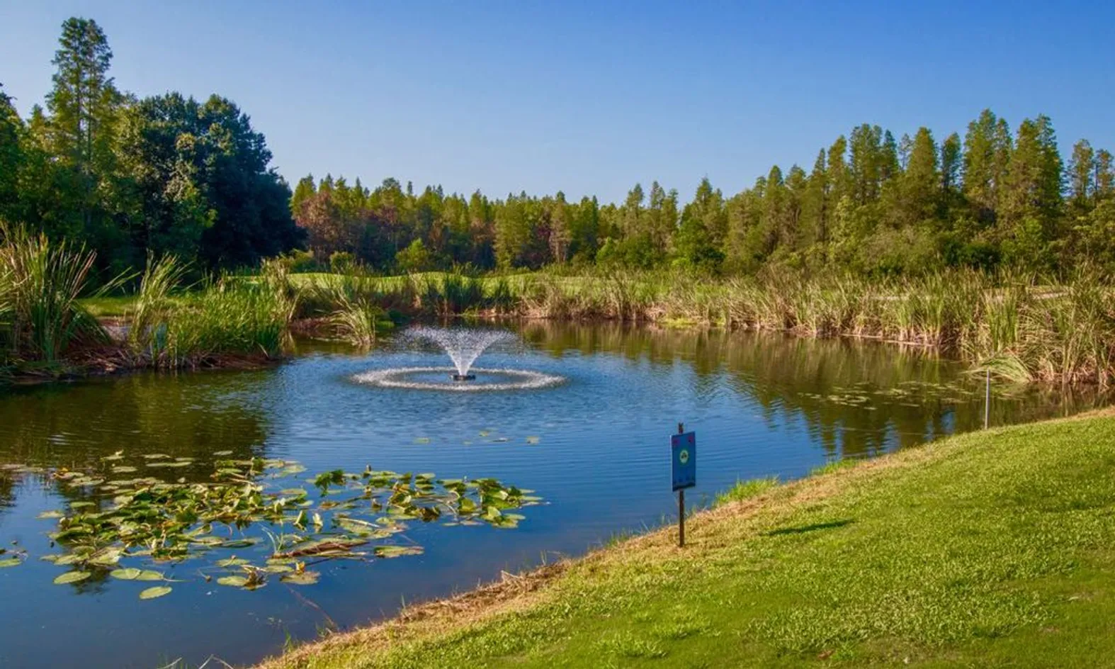 Scenic Lakes