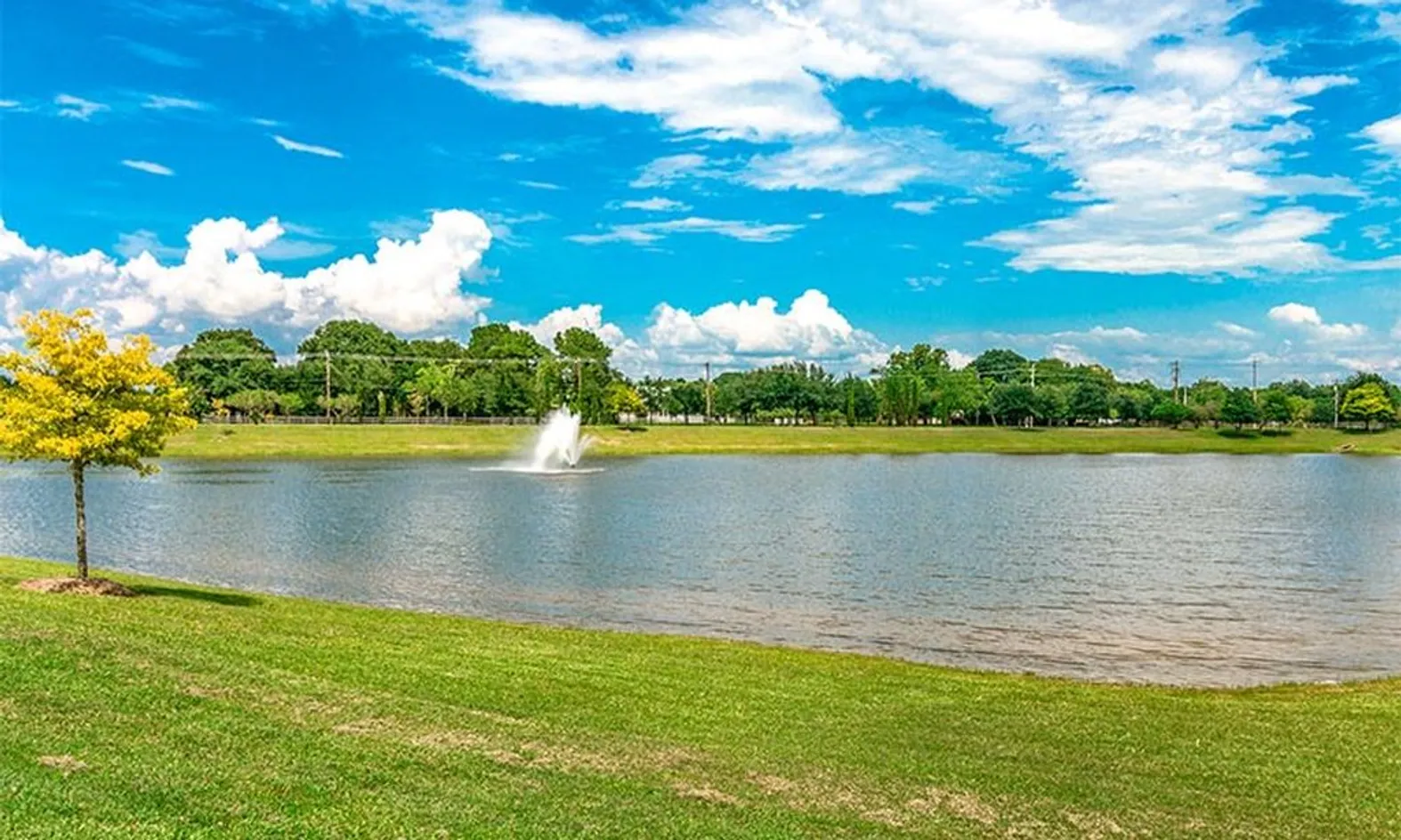 Stocked Ponds