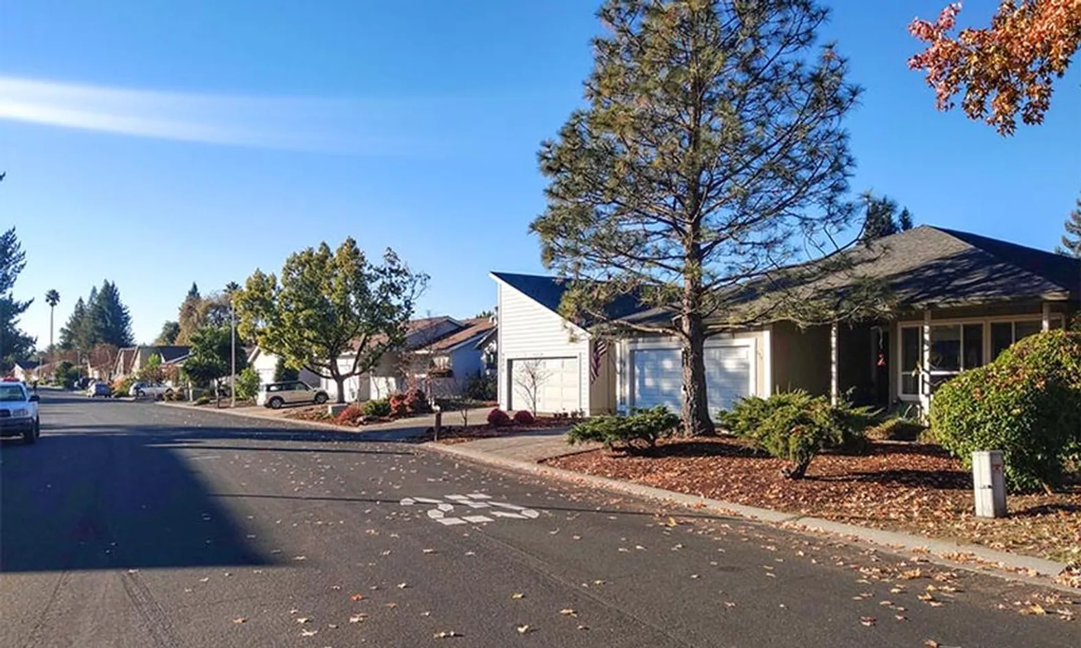 Single-Family Homes