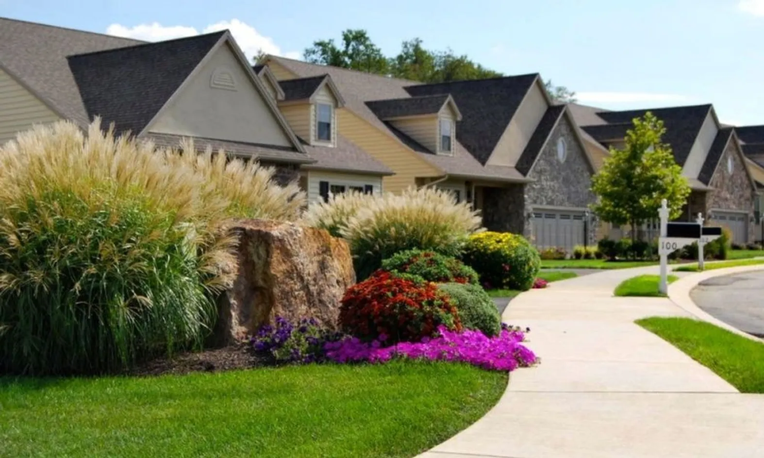 Scenic Streetscape 