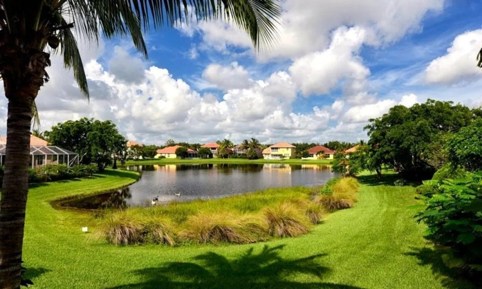 Scenic Lake Views