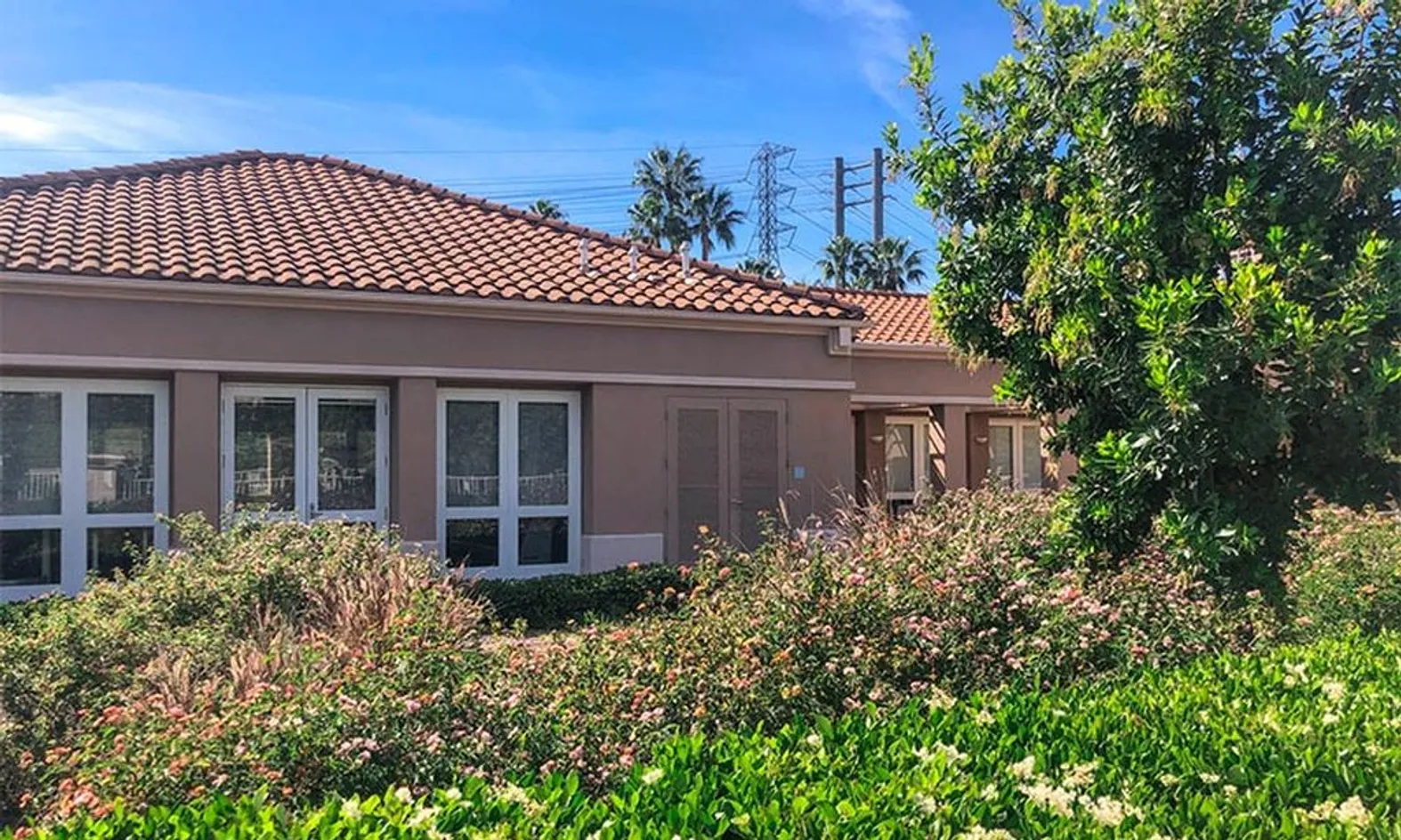Single-Family & Attached Homes