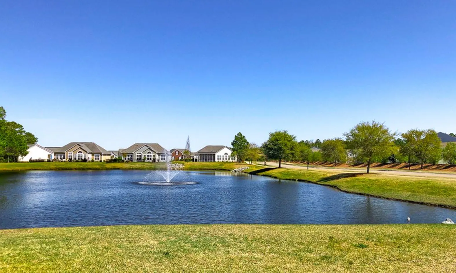 Scenic Ponds