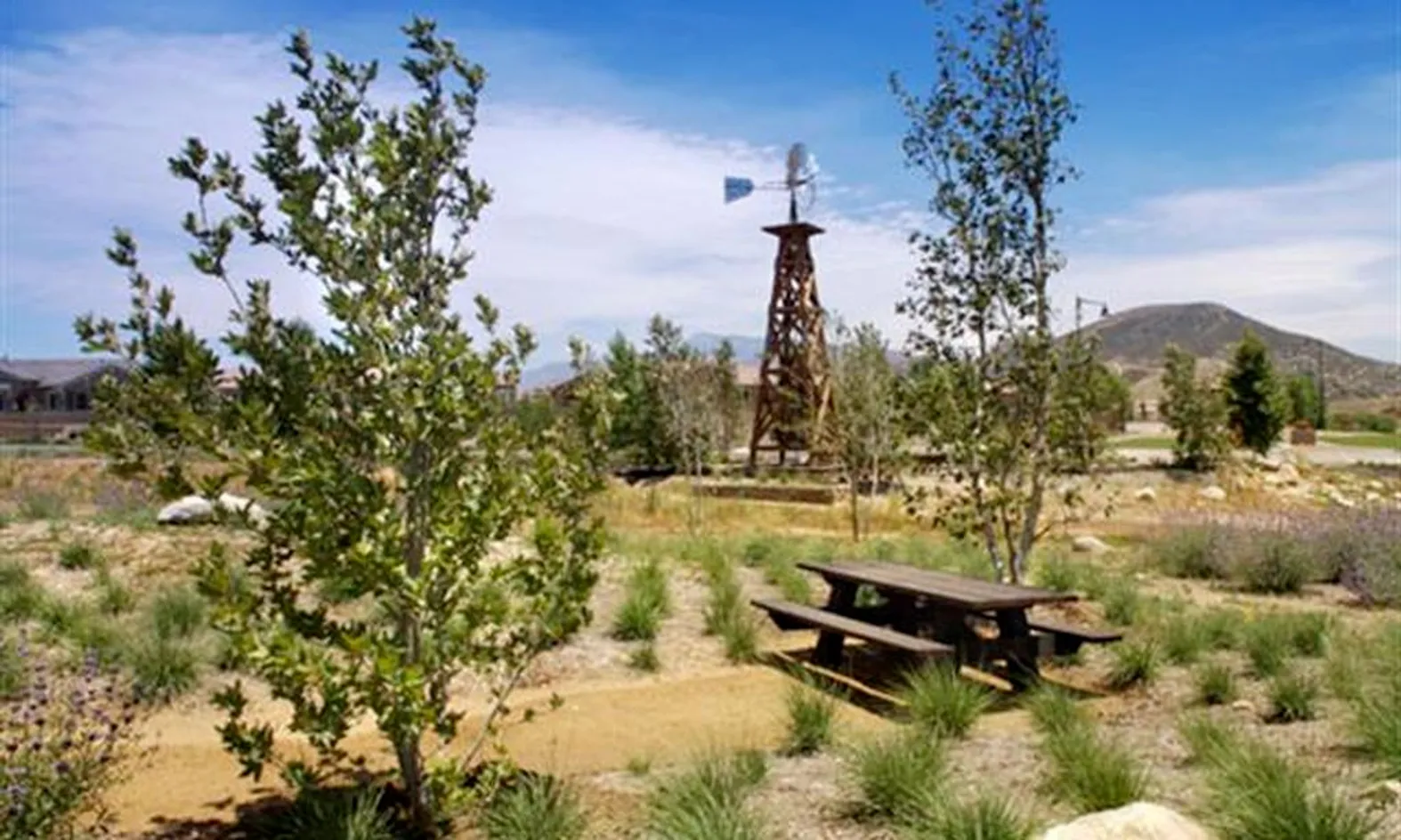 Natural Community Spaces