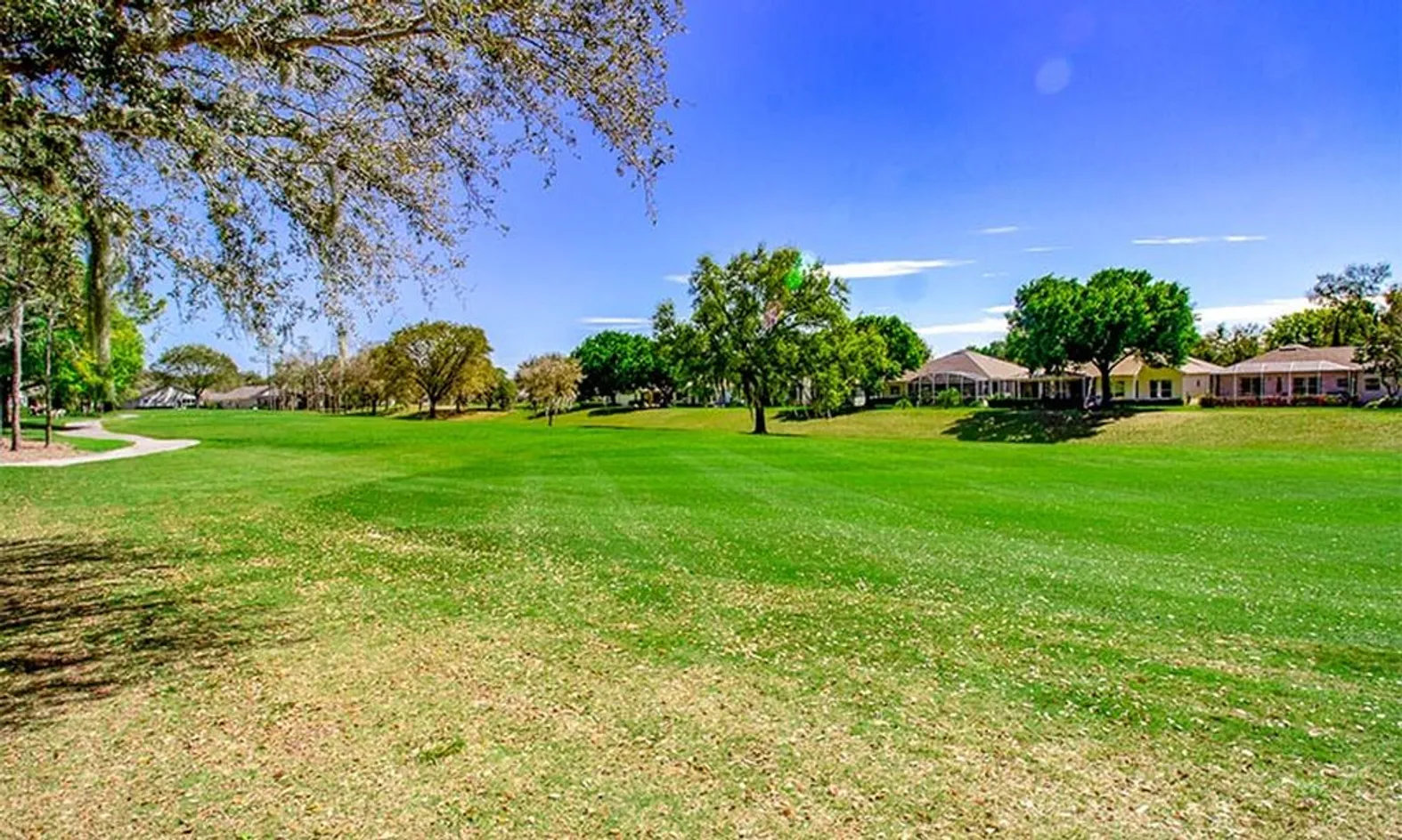 Lush Green Space