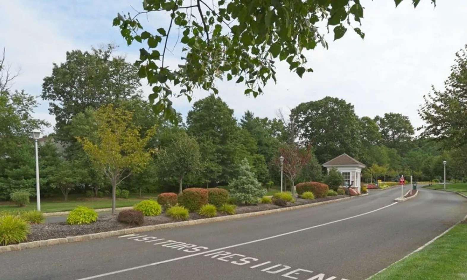 Mature Landscaping