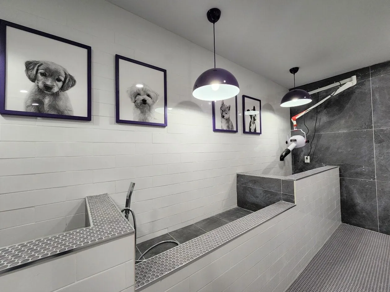 Pet Spa