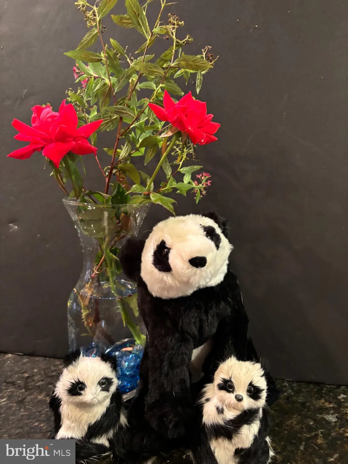 Property Slideshow image 27 of 37 | 136 sandpiper ln, West Deptford, NJ, 08086