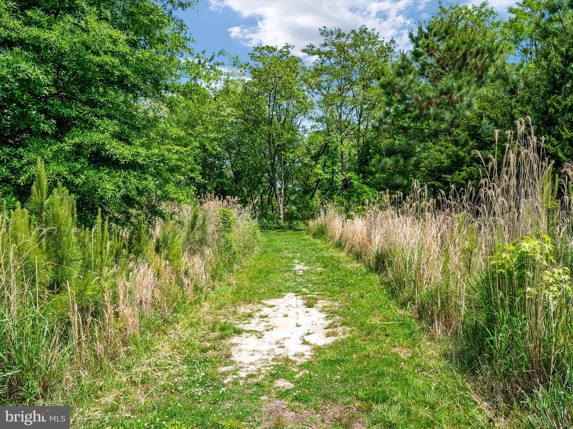 Property Slideshow image 53 of 59 | 1000 herons nest way unit 22, Chester, MD, 21619