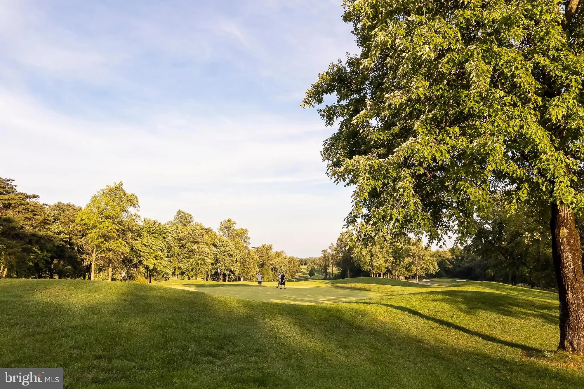 Property Slideshow image 62 of 62 | 7305 maplecrest rd 206, Elkridge, MD, 21075