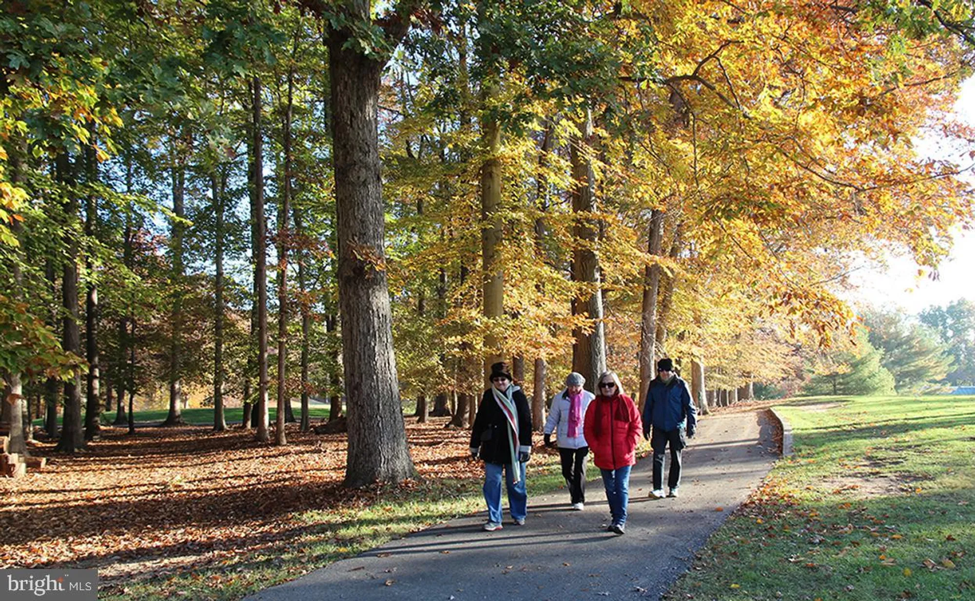 Property Slideshow image 37 of 44 | 15300 beaverbrook ct 88-2b, Silver Spring, MD, 20906