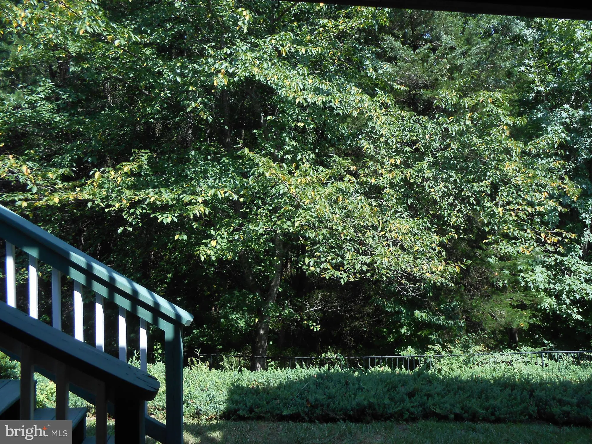 Property Slideshow image 28 of 32 | 286 bridgewater cir, Fredericksburg, VA, 22406