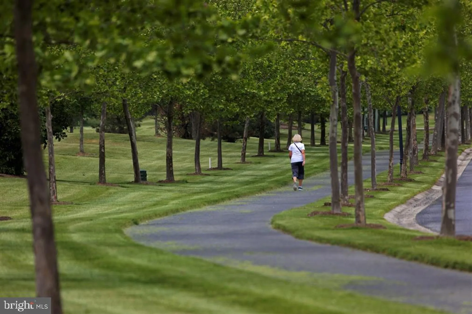 Property Slideshow image 43 of 66 | 8 harlequin loop, Bridgeville, DE, 19933
