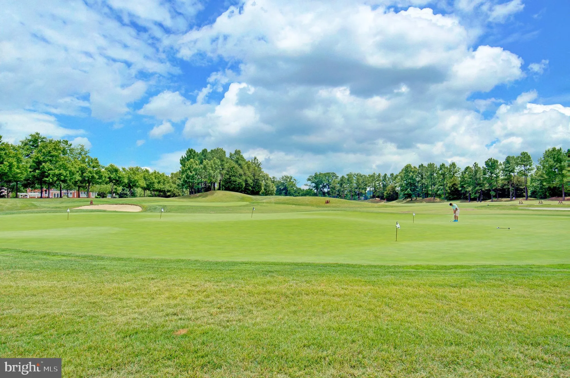 Property Slideshow image 58 of 66 | 15236 weiskopf ct, Haymarket, VA, 20169