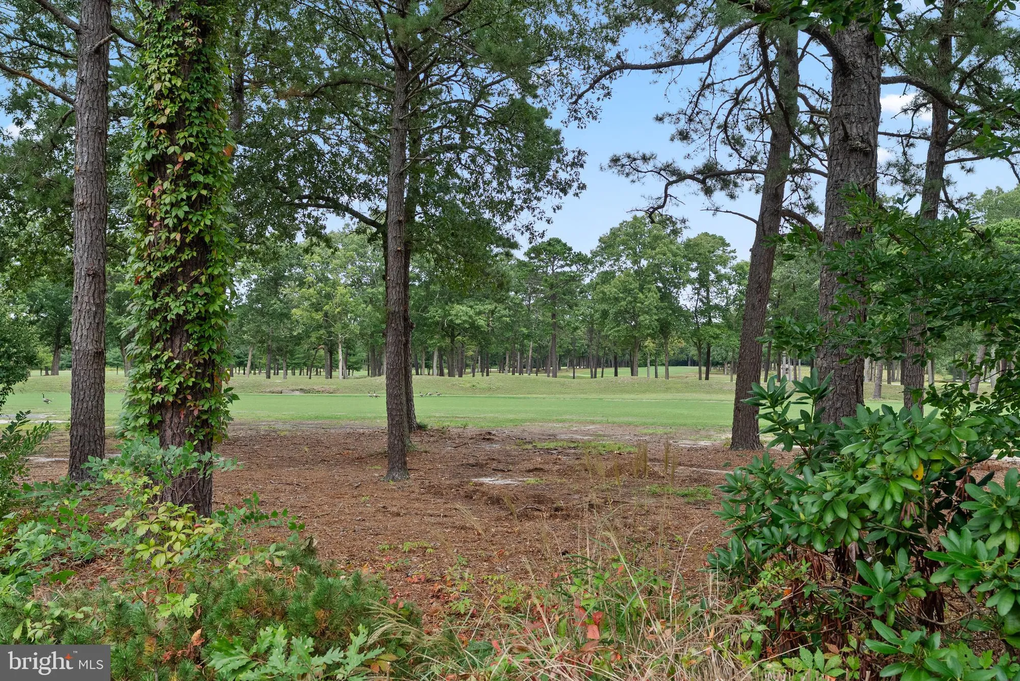 Property Slideshow image 4 of 21 | 277 greenbriar ct, Mays Landing, NJ, 08330