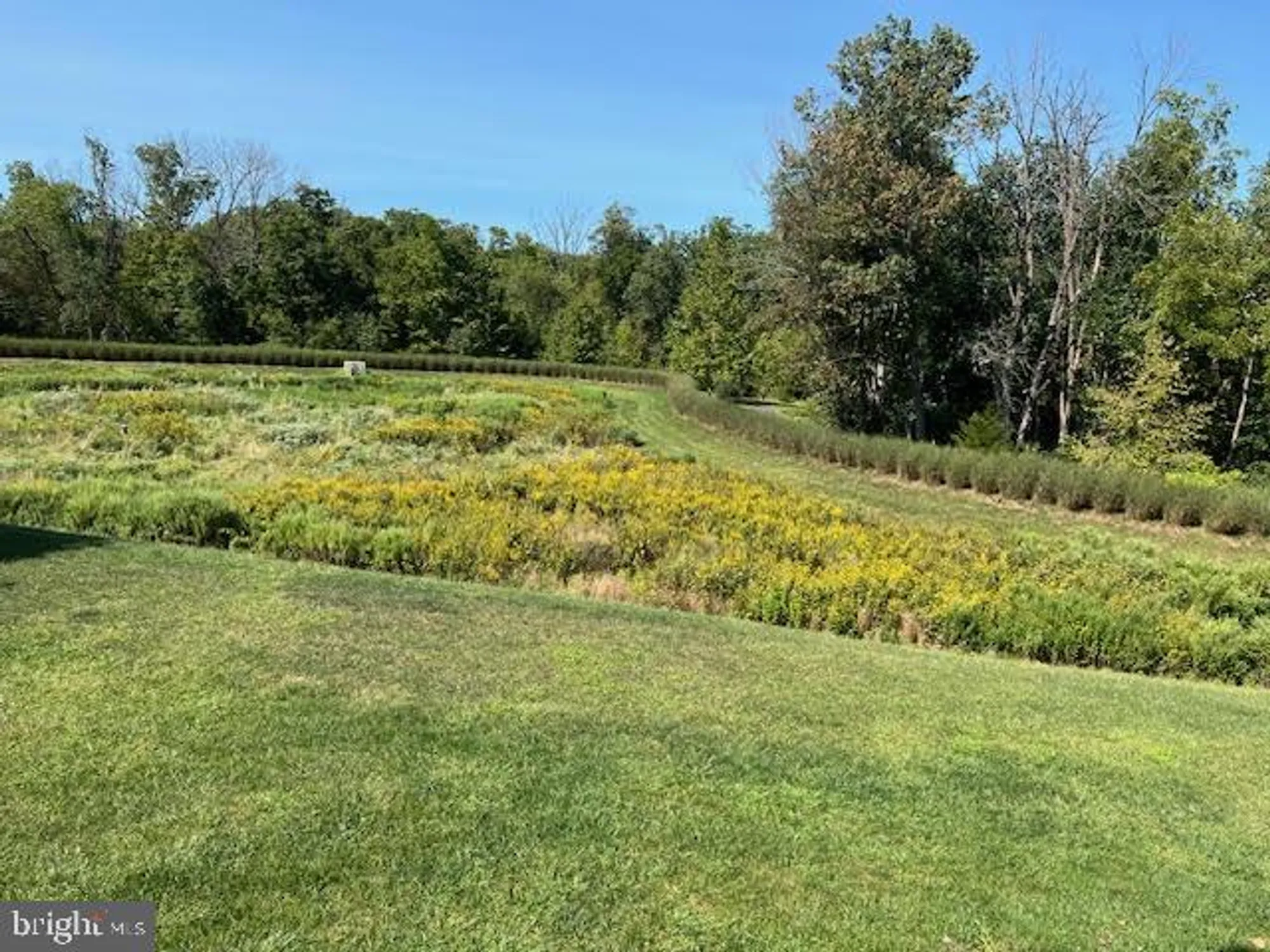 Property Slideshow image 63 of 68 | 28 bedford dr, Skillman, NJ, 08558