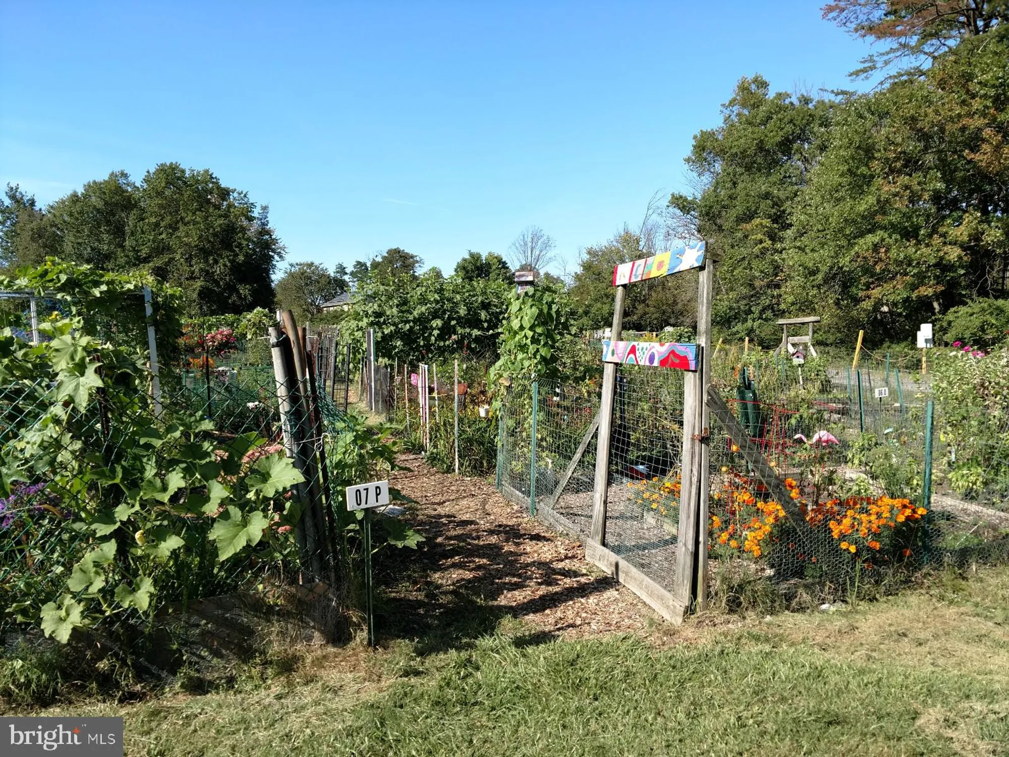 Property Slideshow image 34 of 37 | 15101 interlachen dr 1-315, Silver Spring, MD, 20906