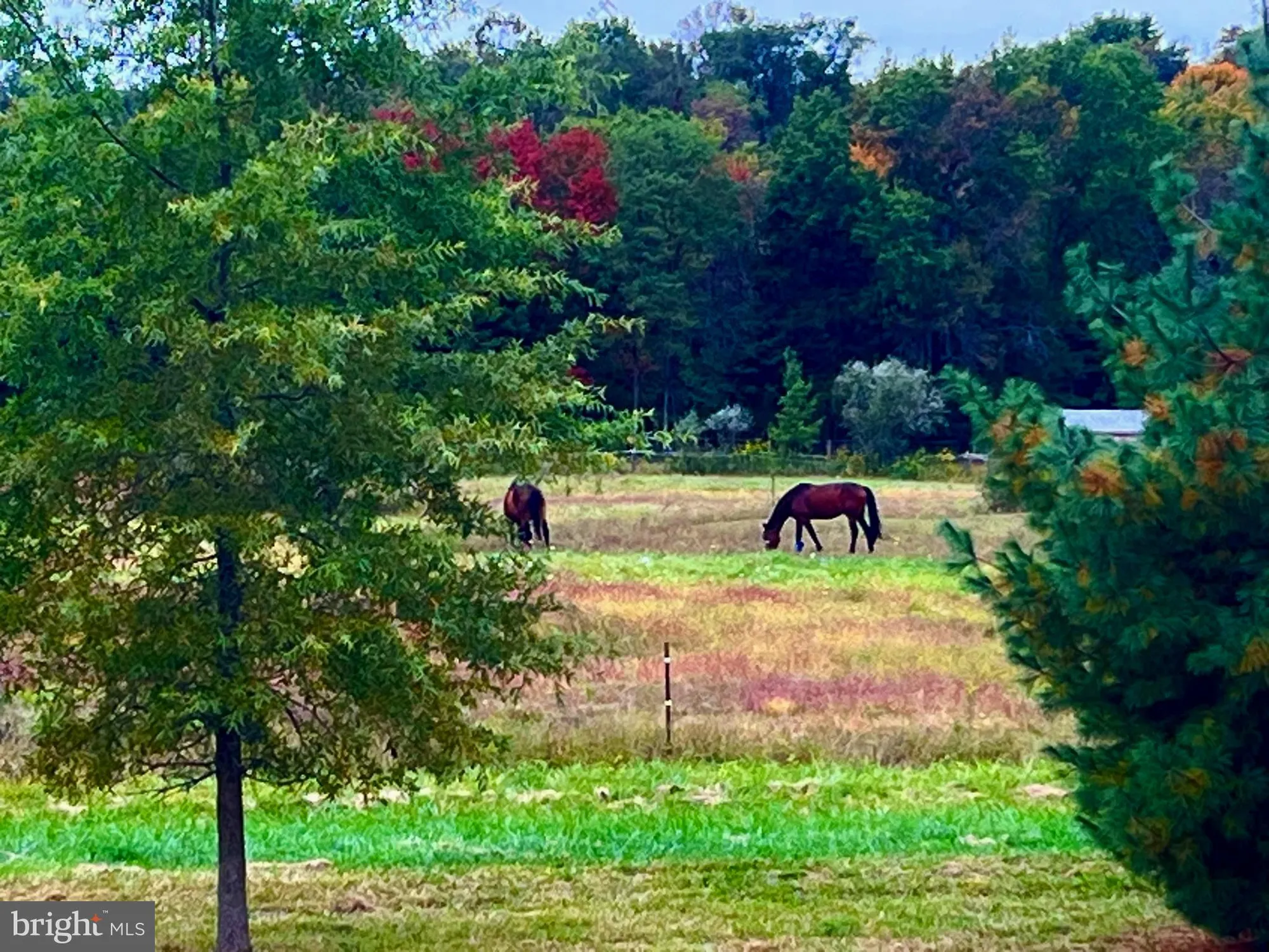 Property Slideshow image 30 of 36 | 3267 bushwood dr, Perkasie, PA, 18944