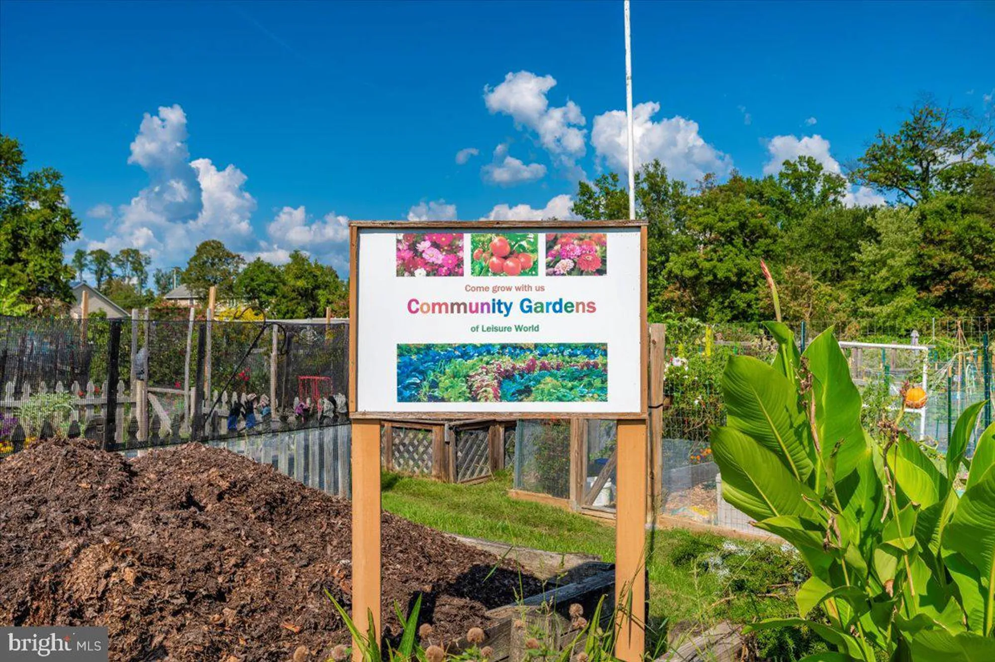 Property Slideshow image 45 of 51 | 3311 s leisure world blvd 99-3d, Silver Spring, MD, 20906