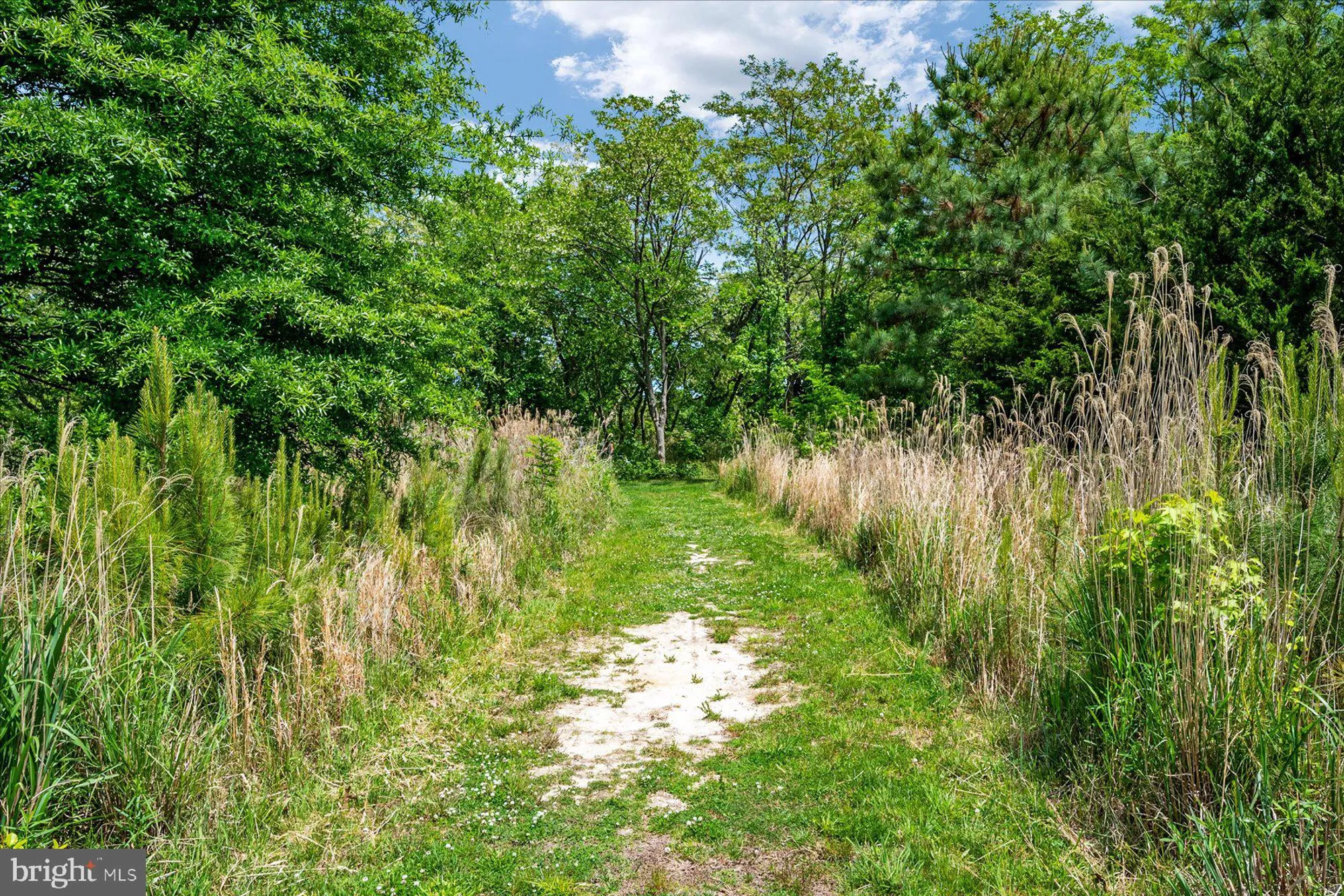 Property Slideshow image 81 of 81 | 135 nauset ln, Chester, MD, 21619