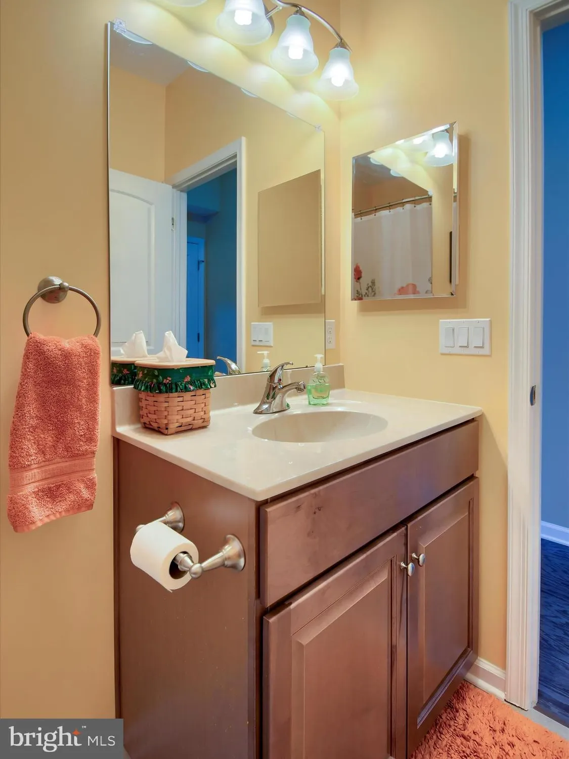 Property Slideshow image 11 of 47 | 3623 daylily dr, Emmaus, PA, 18049