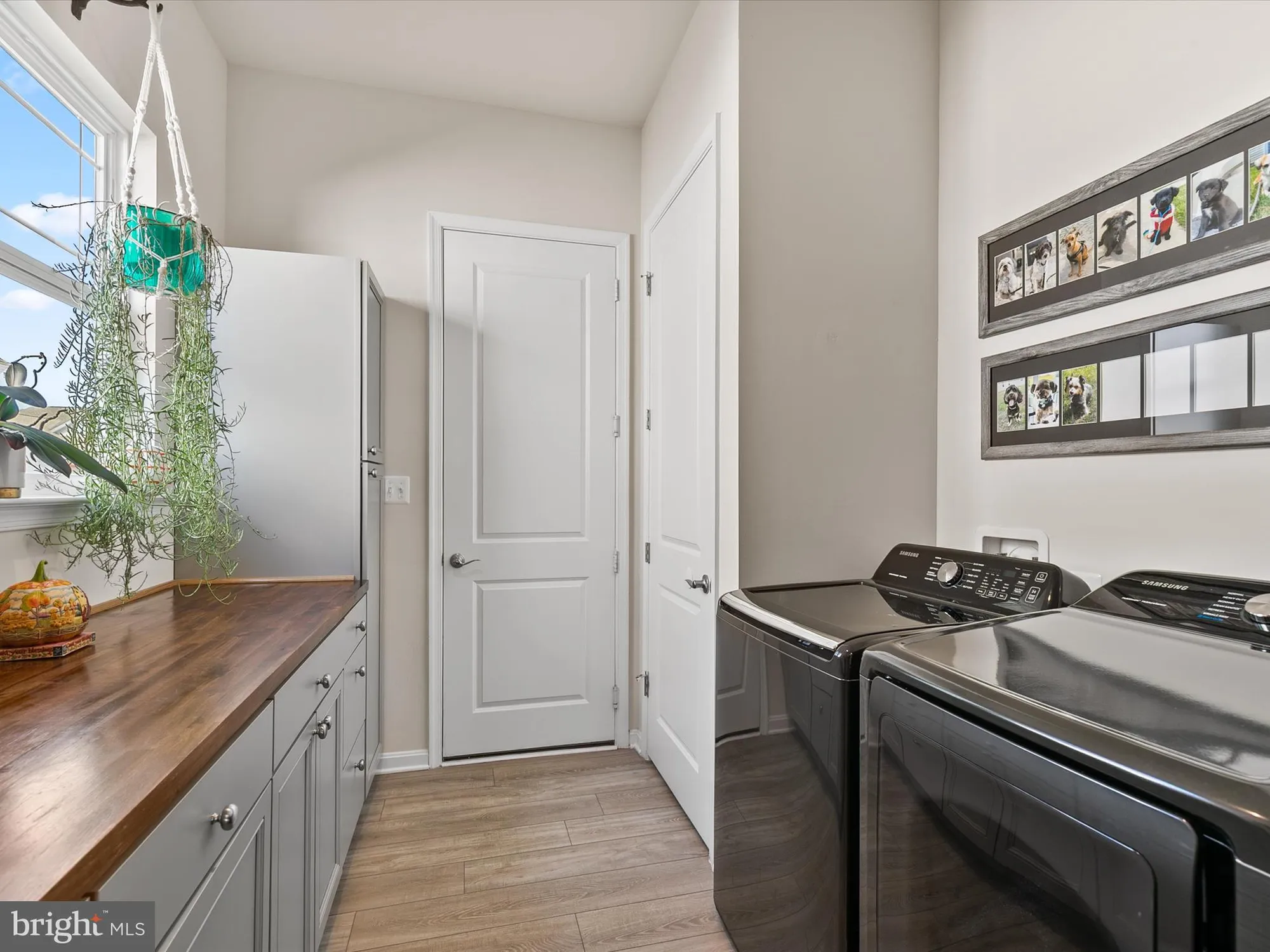 Property Slideshow image 48 of 83 | 21160 conti st, Lewes, DE, 19958